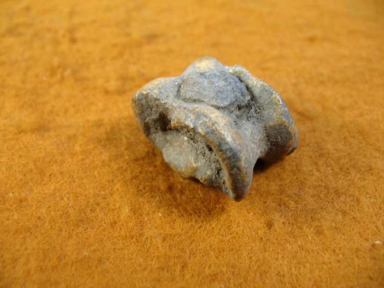 **SOLD**  An interesting Roman metal plugged  bone astragalus 